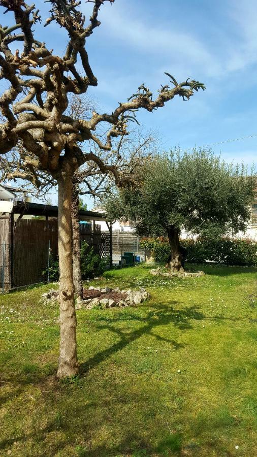 Villa Bracci Molinaccio 외부 사진